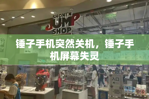 锤子手机突然关机，锤子手机屏幕失灵