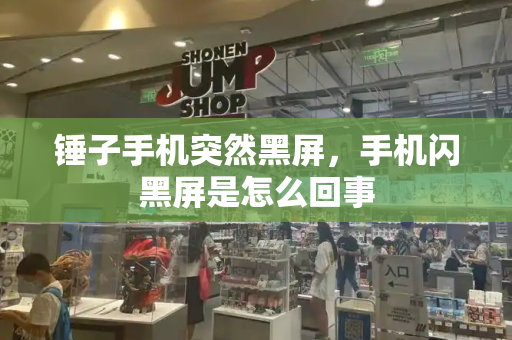 锤子手机突然黑屏，手机闪黑屏是怎么回事-第1张图片-星选测评
