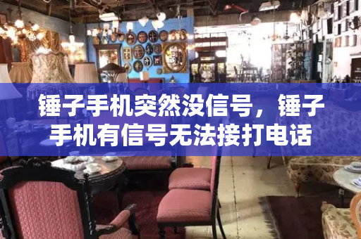 锤子手机突然没信号，锤子手机有信号无法接打电话-第1张图片-星选测评