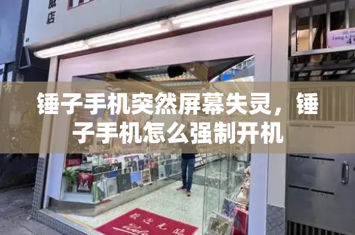 锤子手机突然屏幕失灵，锤子手机怎么强制开机