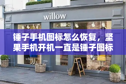 锤子手机图标怎么恢复，坚果手机开机一直是锤子图标