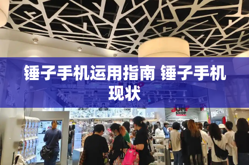 锤子手机运用指南 锤子手机现状