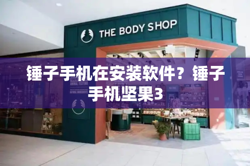 锤子手机在安装软件？锤子手机坚果3