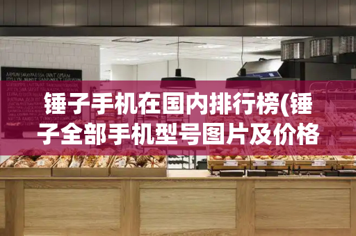 锤子手机在国内排行榜(锤子全部手机型号图片及价格)-第1张图片-星选测评