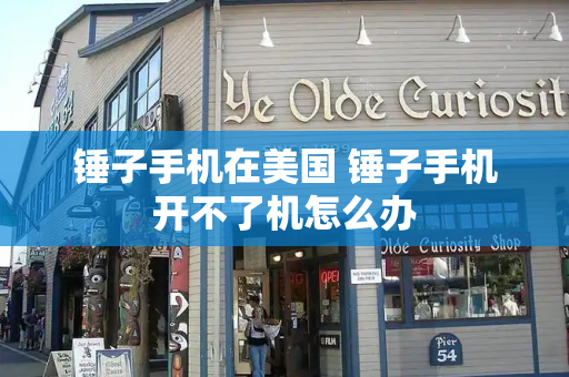 锤子手机在美国 锤子手机开不了机怎么办-第1张图片-星选测评