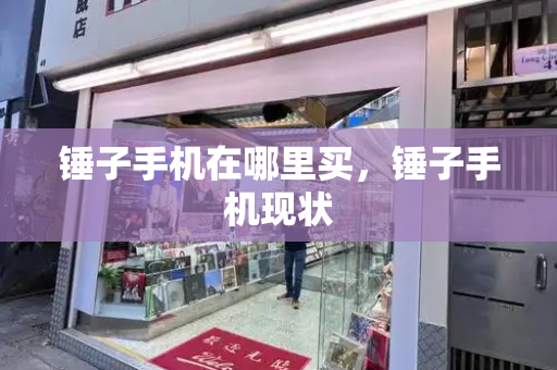 锤子手机在哪里买，锤子手机现状