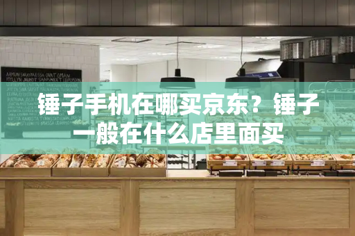 锤子手机在哪买京东？锤子一般在什么店里面买