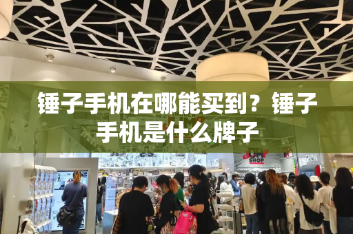 锤子手机在哪能买到？锤子手机是什么牌子-第1张图片-星选测评