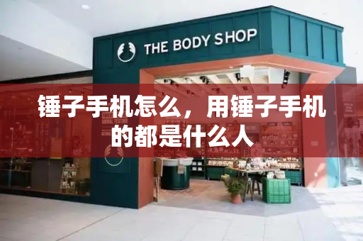 锤子手机怎么，用锤子手机的都是什么人-第1张图片-星选测评