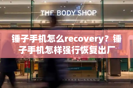 锤子手机怎么recovery？锤子手机怎样强行恢复出厂-第1张图片-星选测评