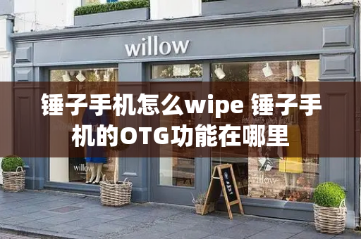 锤子手机怎么wipe 锤子手机的OTG功能在哪里-第1张图片-星选测评