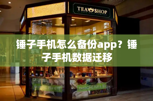 锤子手机怎么备份app？锤子手机数据迁移-第1张图片-星选测评