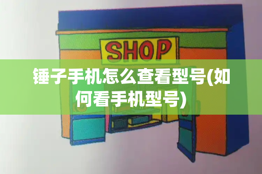锤子手机怎么查看型号(如何看手机型号)