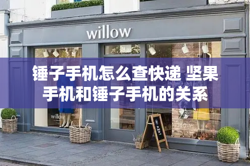 锤子手机怎么查快递 坚果手机和锤子手机的关系