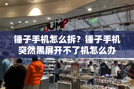 锤子手机怎么拆？锤子手机突然黑屏开不了机怎么办-第1张图片-星选测评