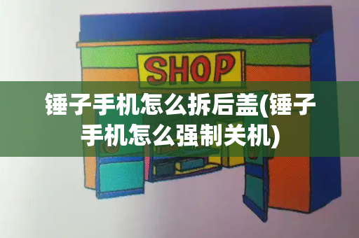 锤子手机怎么拆后盖(锤子手机怎么强制关机)-第1张图片-星选测评