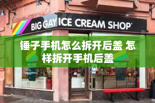 锤子手机怎么拆开后盖 怎样拆开手机后盖-第1张图片-星选测评