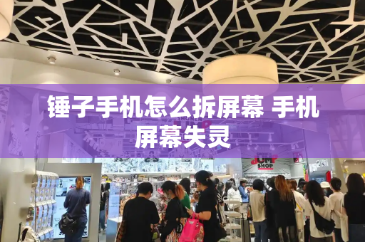 锤子手机怎么拆屏幕 手机屏幕失灵-第1张图片-星选测评