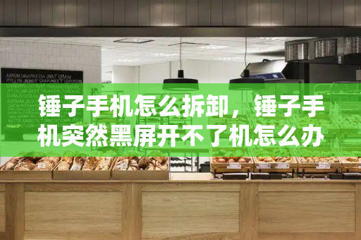 锤子手机怎么拆卸，锤子手机突然黑屏开不了机怎么办-第1张图片-星选测评