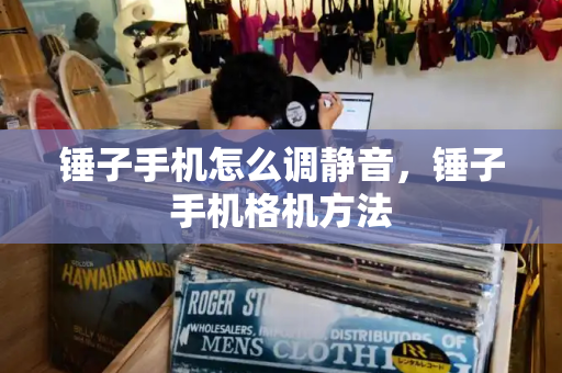 锤子手机怎么调静音，锤子手机格机方法-第1张图片-星选测评