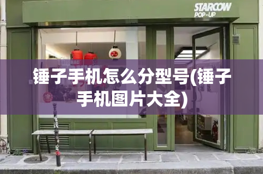 锤子手机怎么分型号(锤子手机图片大全)-第1张图片-星选测评
