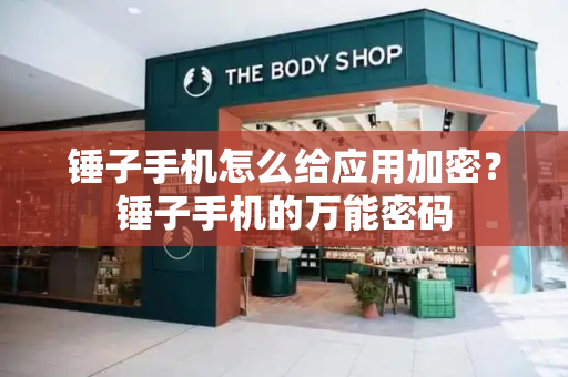 锤子手机怎么给应用加密？锤子手机的万能密码-第1张图片-星选测评