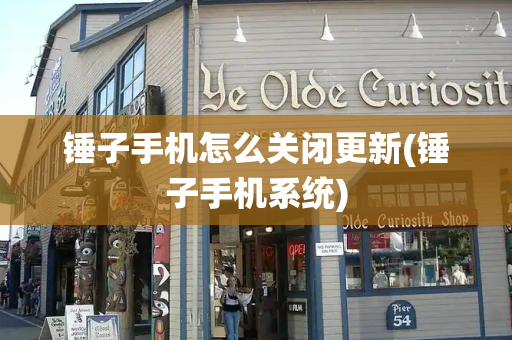 锤子手机怎么关闭更新(锤子手机系统)-第1张图片-星选测评