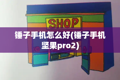 锤子手机怎么好(锤子手机坚果pro2)