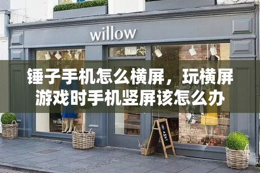 锤子手机怎么横屏，玩横屏游戏时手机竖屏该怎么办-第1张图片-星选测评