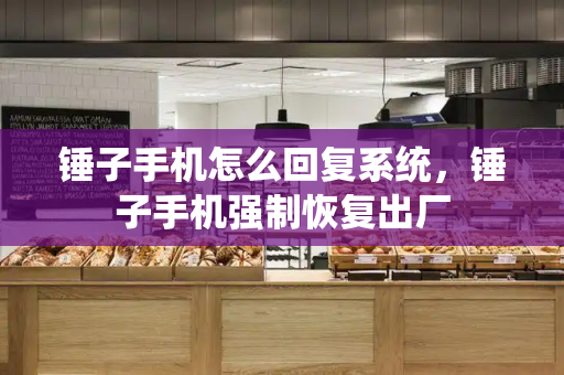 锤子手机怎么回复系统，锤子手机强制恢复出厂-第1张图片-星选测评