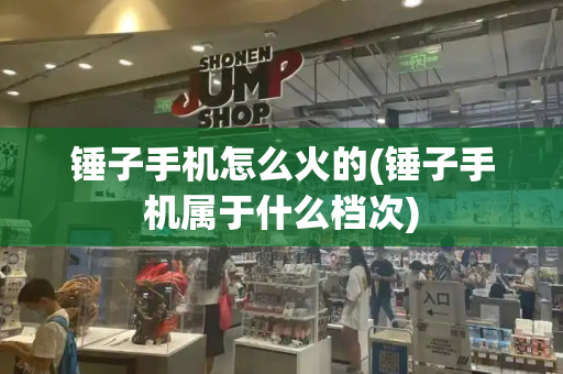 锤子手机怎么火的(锤子手机属于什么档次)