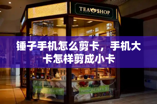 锤子手机怎么剪卡，手机大卡怎样剪成小卡