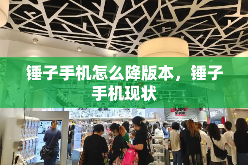 锤子手机怎么降版本，锤子手机现状-第1张图片-星选测评