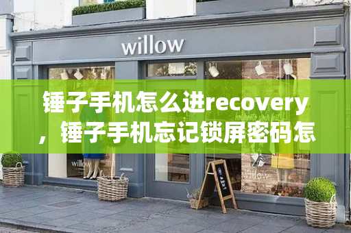 锤子手机怎么进recovery，锤子手机忘记锁屏密码怎么办
