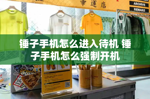 锤子手机怎么进入待机 锤子手机怎么强制开机