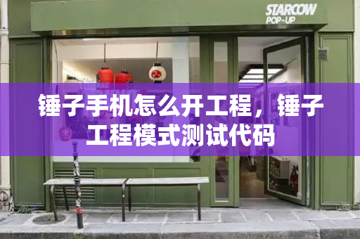 锤子手机怎么开工程，锤子工程模式测试代码-第1张图片-星选测评