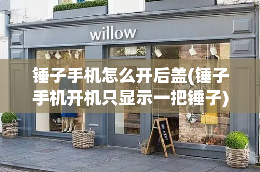 锤子手机怎么开后盖(锤子手机开机只显示一把锤子)-第1张图片-星选测评