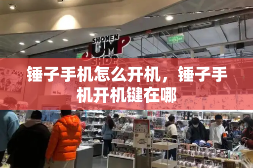 锤子手机怎么开机，锤子手机开机键在哪-第1张图片-星选测评