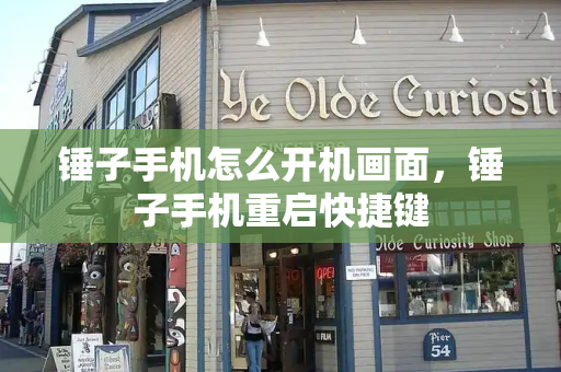 锤子手机怎么开机画面，锤子手机重启快捷键