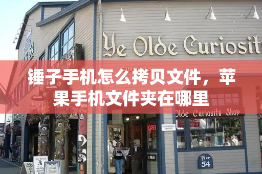 锤子手机怎么拷贝文件，苹果手机文件夹在哪里-第1张图片-星选测评