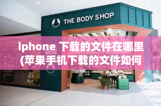 iphone 下载的文件在哪里(苹果手机下载的文件如何查找)-第1张图片-星选测评