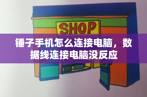 锤子手机怎么连接电脑，数据线连接电脑没反应