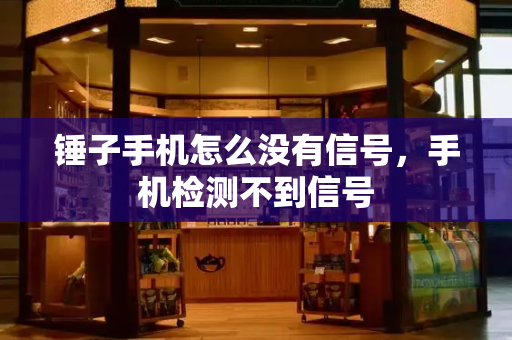锤子手机怎么没有信号，手机检测不到信号-第1张图片-星选测评
