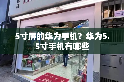 5寸屏的华为手机？华为5.5寸手机有哪些-第1张图片-星选测评