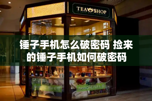 锤子手机怎么破密码 捡来的锤子手机如何破密码-第1张图片-星选测评