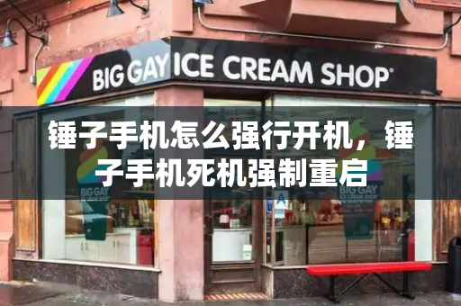 锤子手机怎么强行开机，锤子手机死机强制重启
