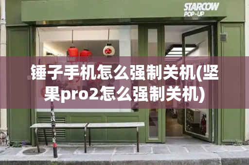 锤子手机怎么强制关机(坚果pro2怎么强制关机)-第1张图片-星选测评
