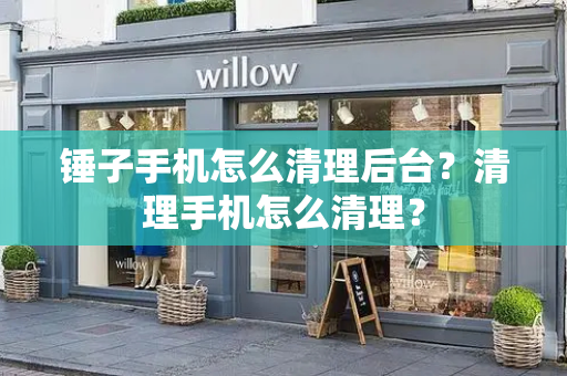 锤子手机怎么清理后台？清理手机怎么清理？-第1张图片-星选测评