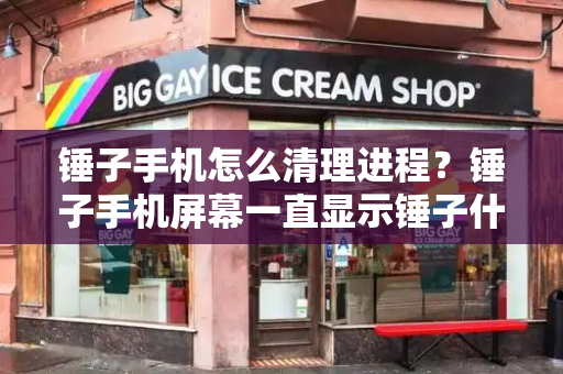 锤子手机怎么清理进程？锤子手机屏幕一直显示锤子什么原因-第1张图片-星选测评