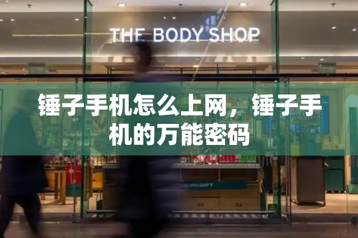 锤子手机怎么上网，锤子手机的万能密码-第1张图片-星选测评